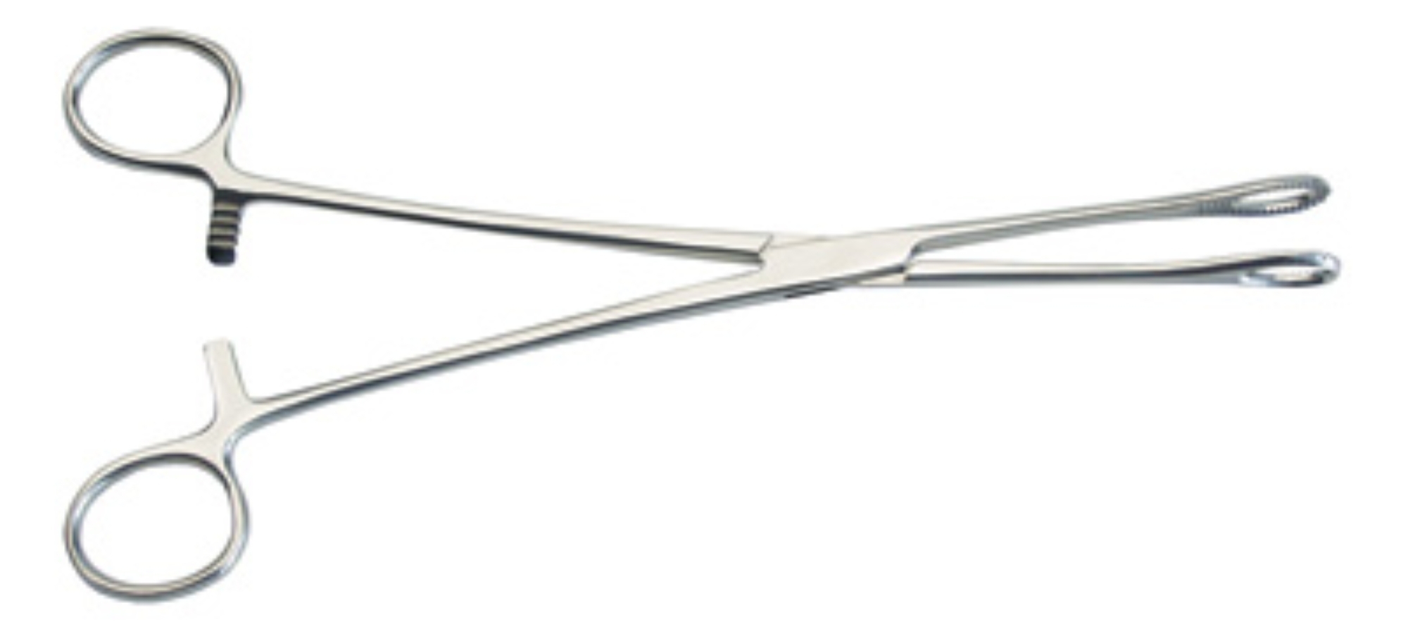 living-spinal-graham-field-foerster-sponge-forceps.jpg living-spinal-graham-field-foerster-sponge-forceps.jpg