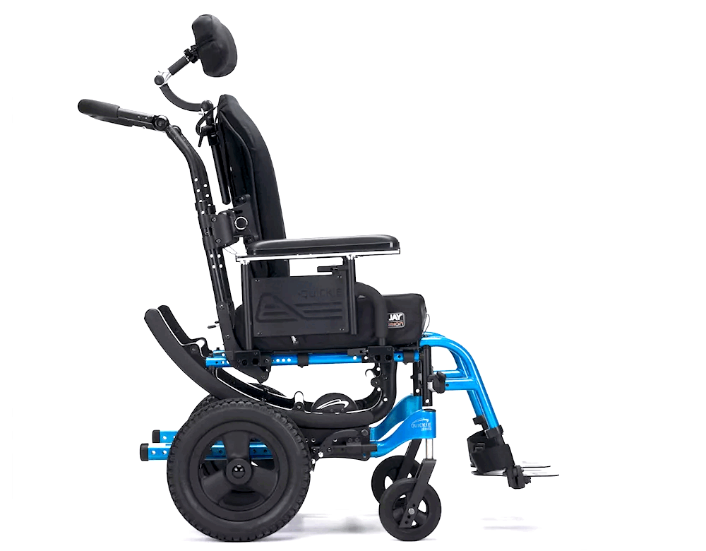 living-spinal-iris-webp-animation-final-v2.gif living-spinal-iris-webp-animation-final-v2.gif