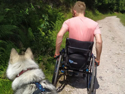 living-spinal-jise-wheelchair-dezziv.jpg living-spinal-jise-wheelchair-dezziv.jpg