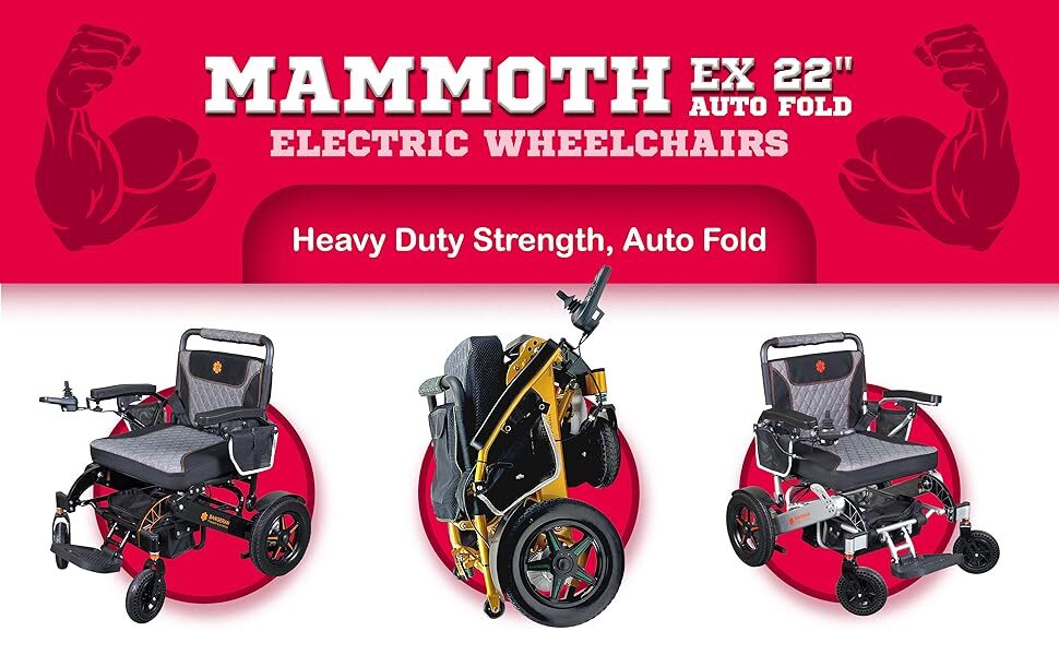 living-spinal-mamammoth-chairs-.jpg