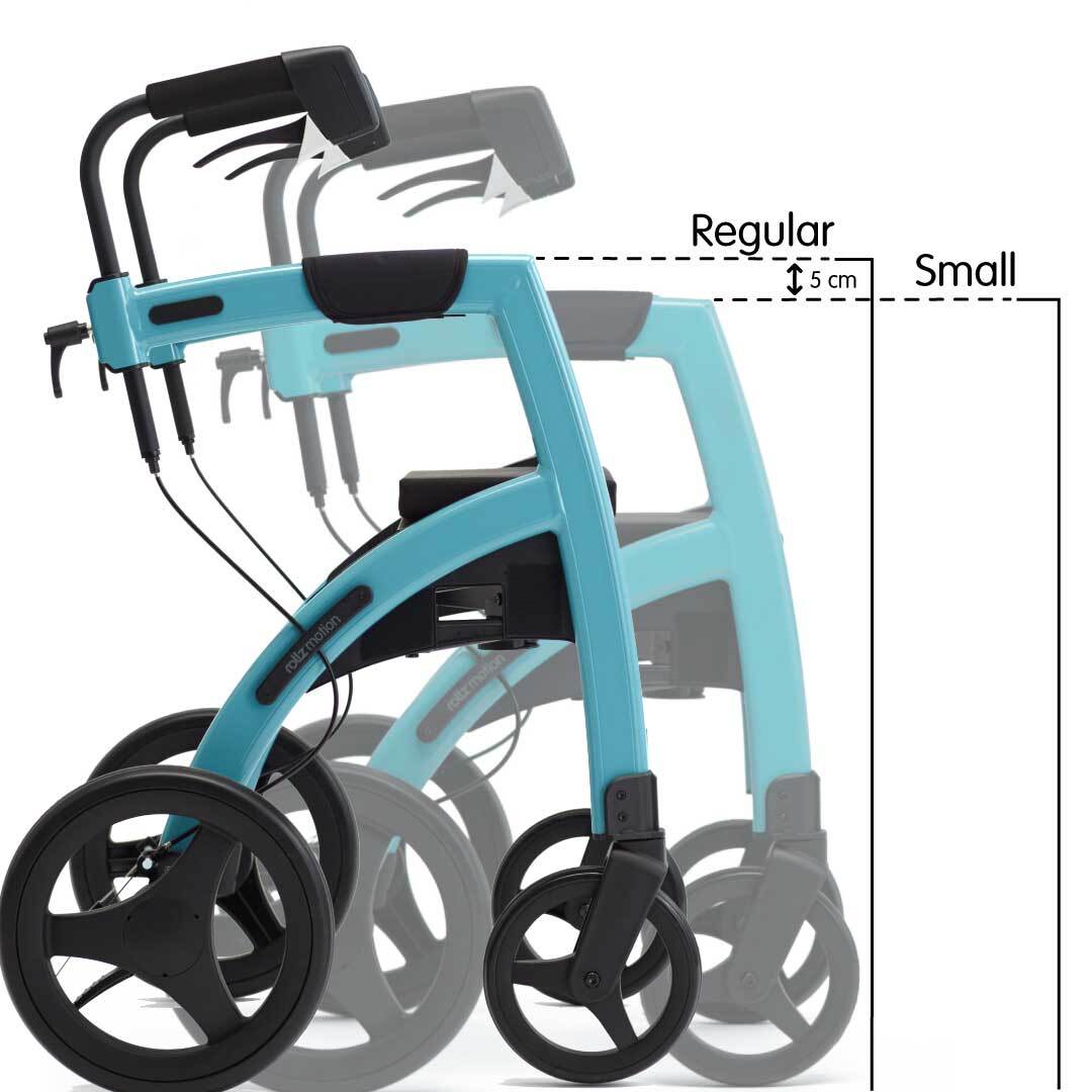 living-spinal-motion-size-comparison-2.jpg