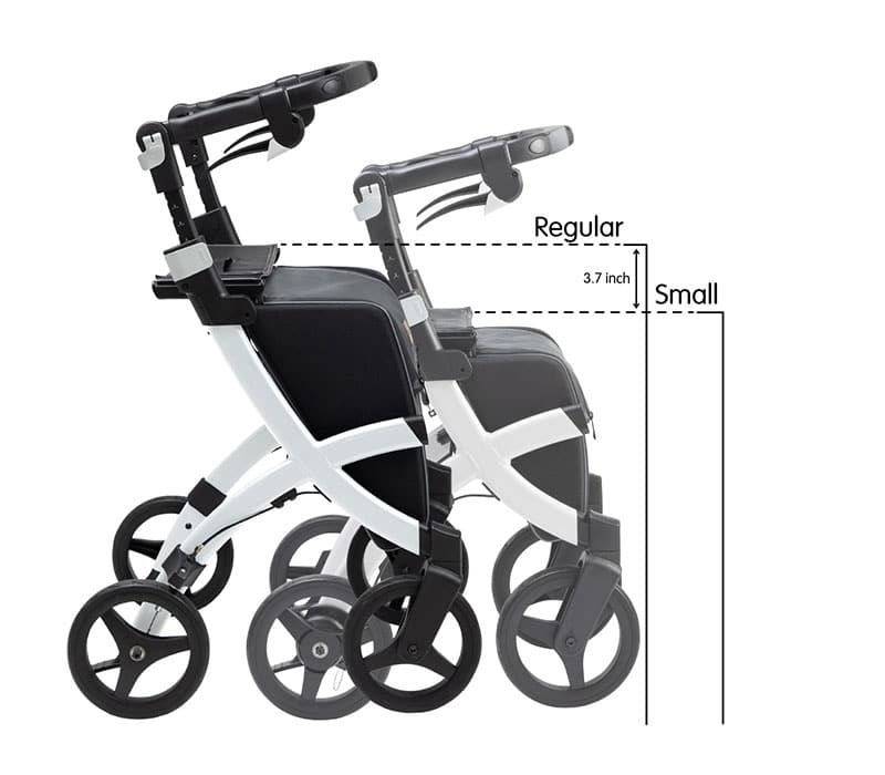 living-spinal-rf-us-white-frame.jpg