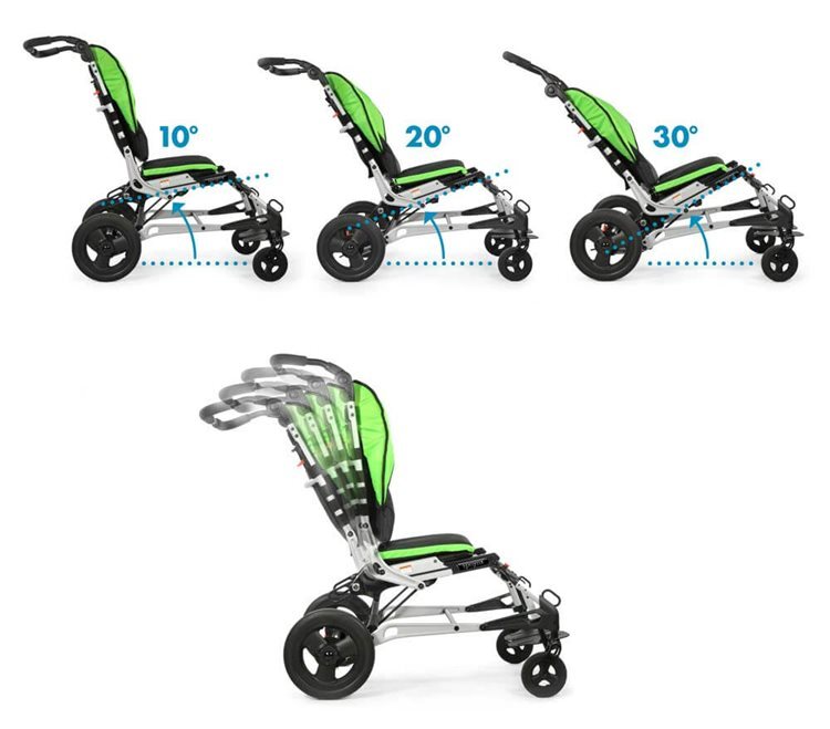 living-spinal-sphynx-angles-comp.jpg living-spinal-sphynx-angles-comp.jpg