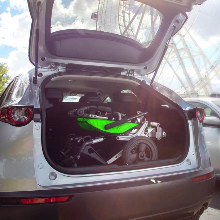 living-spinal-sphynx-trunk.jpg living-spinal-sphynx-trunk.jpg