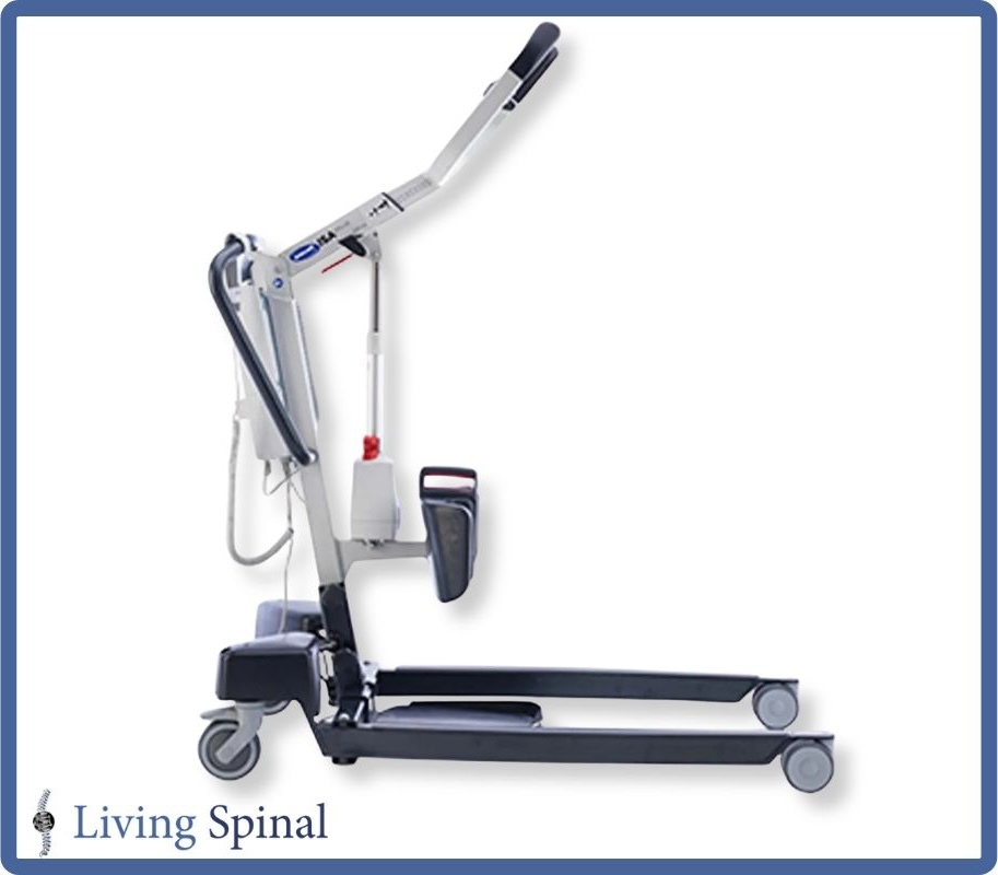 living-spinal-template-landscape-2-.jpg