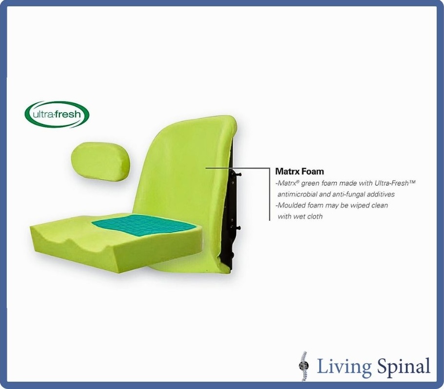 living-spinal-template-landscape-3-.jpg