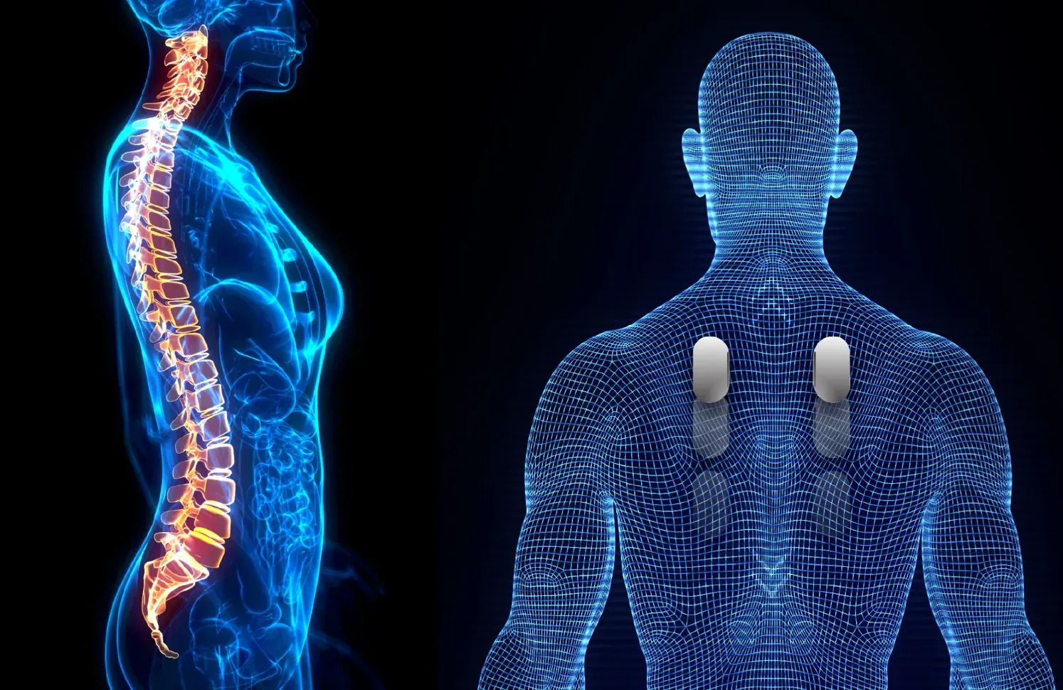 living-spinal-vito-body-scan.jpg