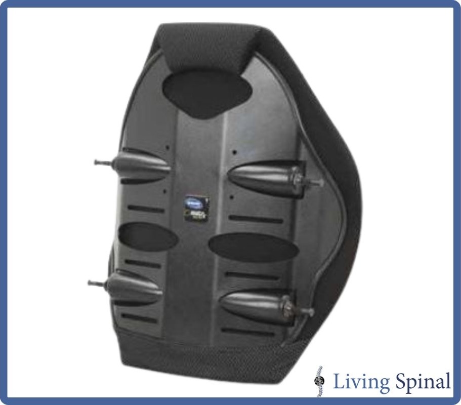 motionconcepts-back-elite-web-product-backview-living-spinal.jpg motionconcepts-back-elite-web-product-backview-living-spinal.jpg