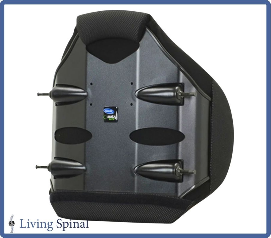 motionconcepts-back-elitedeep-web-product-backview-living-spinal.jpg motionconcepts-back-elitedeep-web-product-backview-living-spinal.jpg