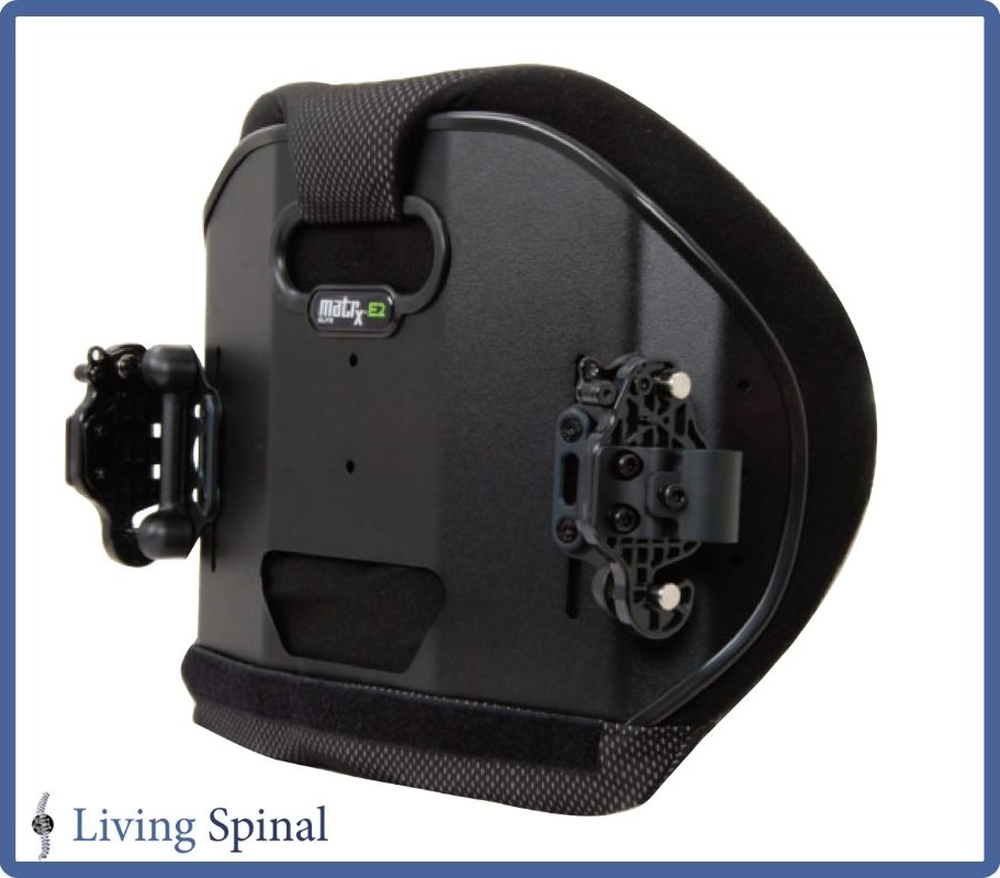 motionconcepts-back-elitee2l-web-product-backview-living-spinal.jpg motionconcepts-back-elitee2l-web-product-backview-living-spinal.jpg