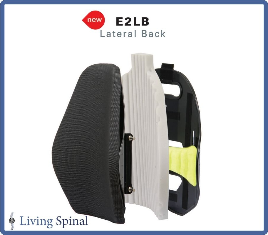 motionconcepts-back-elitee2l-web-product-layers-living-spinal.jpg motionconcepts-back-elitee2l-web-product-layers-living-spinal.jpg