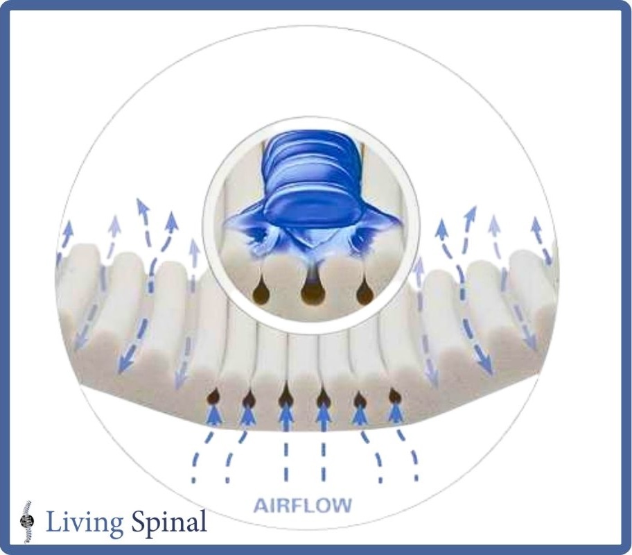 motionconcepts-back-elitee2l-web-product-ripplefoam-living-spinal.jpg motionconcepts-back-elitee2l-web-product-ripplefoam-living-spinal.jpg