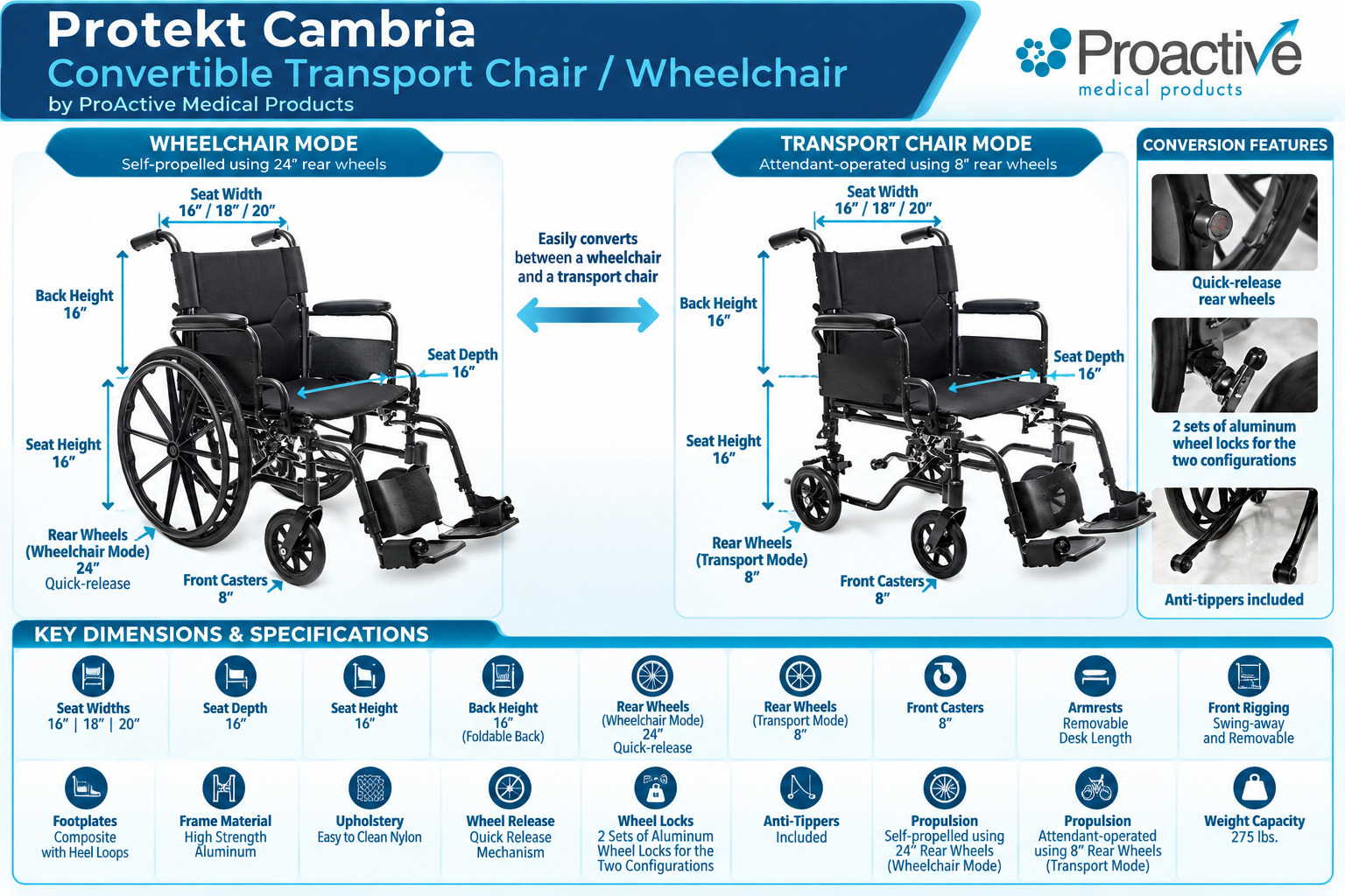proactive-transport-cambria-web-dimension-living-spinal.jpg proactive-transport-cambria-web-dimension-living-spinal.jpg