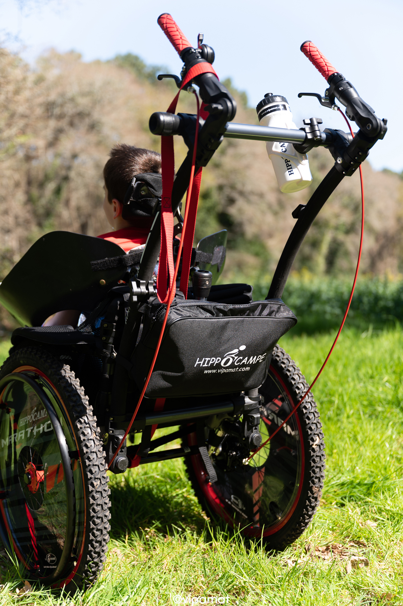 vipamat-hippocampe-marathon-wheelchair-product-back-view-living-spinal.jpg vipamat-hippocampe-marathon-wheelchair-product-back-view-living-spinal.jpg