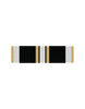 Coast Guard Auxillary Excellence E Ribbon