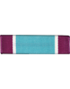 Coast Guard Distinguished Service Medal Ribbon