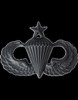 Black Metal Senior Parachutist Insignia