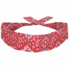 Red Paisley Cooldanna