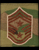 US Air Force Officer Uniform Patch