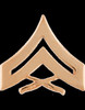 US Marine Corps Pin & Clutch Enlisted Officer Insignia