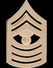 US Marine Corps Pin & Clutch Enlisted Officer Insignia