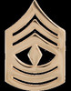 US Marine Corps Pin & Clutch Enlisted Officer Insignia