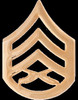 US Marine Corps Pin & Clutch Enlisted Officer Insignia