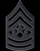 US Army Pin & Clutch Enlisted Rank Insignia