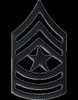 US Army Pin & Clutch Enlisted Rank Insignia