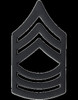 US Army Pin & Clutch Enlisted Rank Insignia