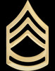 US Army Pin & Clutch Enlisted Rank Insignia