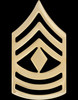 US Army Pin & Clutch Enlisted Rank Insignia