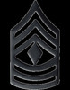 US Army Pin & Clutch Enlisted Rank Insignia