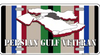 Persian Gulf Veteran License Plate