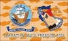 Operation Iraqi Freedom 3x5 Military Flag