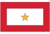 One Gold Star Service Flag