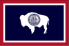 U.S. State 3x5 Flags
