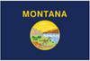 U.S. State 3x5 Flags