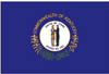 U.S. State 3x5 Flags