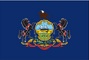 U.S. State 3x5 Flags