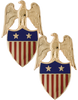 US Army Aide to the Major General Insignia Gold