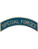US Army Special Forces Tab Insignia