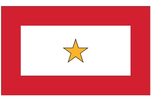 One Gold Star Service Flag