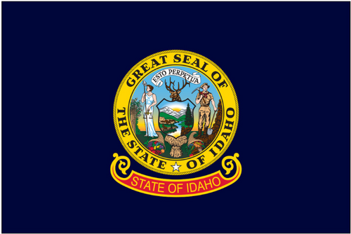 U.S. State 3x5 Flags