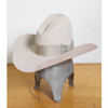 Resistol Western Hat 5X Beaver Silverbelly 7 3-8 5" Brim c. 1960s  View of Hat on Stand