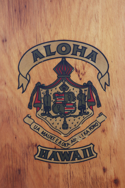 Aloha Paipo Hotel Board Surfboard