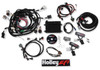 Holley EFI 99-04 4 Valve Ford, Injector Harness, Jetronic, w/NTK Oxygen Sensor - EFI-550-617N
