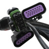 Holley EFI Terminator Stealth Series Main Harness, 2x4 - EFI-558-121