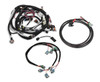 Holley EFI Fuel Injection Wire Harness, For GM LS2/LS3/LS7, 58X Sensor, Uscar/EV6 Injector - EFI-558-501