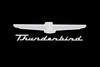 Fender Gripper Fender Gripper Fender Cover Thunderbird Logo - FG2110